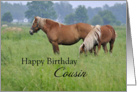 Cousin Birthday, Two Horses card