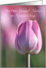 Special Nurse on Nurses Day, Pink Tulip card