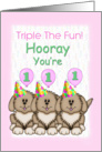 Triplets 1st Birthday, Puppies card