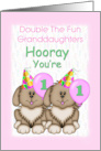 Granddaughters Twin 1st Birthday Puppies Hats Balloons card
