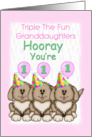 Triplet Granddaughters 1st Birthday, Puppies card