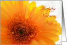 Happy Nurses Day, Yellow Gerber card