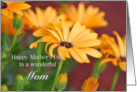 Mom, Mother’s Day, Orange Daisies card