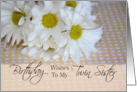 Twin Sister Birthday, white daisies card