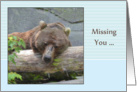 Missing You Bear card