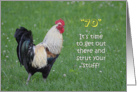 70th Birthday Rooster Humor card