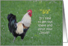 92nd Birthday Rooster Humor card