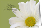Happy Anniversary, White daisy card