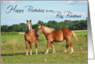 Big Brother Birthday, Horses card