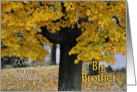 Big Brother Birthday, Fall Tree card