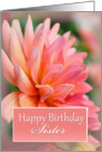 Sister Happy Birthday, Pink Dahlia card