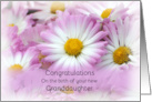 Congratulations on the birth of your new Granddaughter, pink daisies card