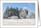 Christmas Blessings, Winter Scene card