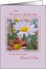 Sympathy Loss of Loved One, Asters card