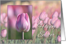 Happy Easter, Tulips card