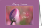 Happy Easter, He is Risen! card
