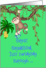 Great Grandson Birthday, Monkey card