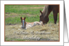 Friends Birthday, Baby and Mother’s Horse card