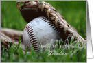 Grandson 14th Birthday Softball, a softball in glove card