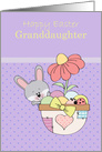 Happy Easter Granddaughter, Bunny with Egg Basket card