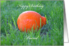Humorous Happy Birthday, Friend, Orange in Grass card