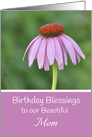 Happy Birthday Mom, Echinacea flower card