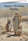 A Custom Name 3rd Birthday Card with Prairie Dogs card