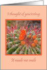 I Thought of You Today and it Made Me Smile with Orange Cactus Flower Blank Inside card