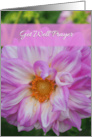 Get Well Prayer with Pink Dahlia Flower card