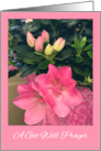 A Get Well Prayer with Pink Azalea Flowers card