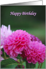 Happy Birthday, pink dahlias card