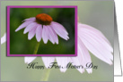 Happy First Mother’s day, purple coneflower card