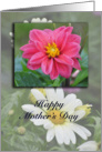 Mother’s Day Flowers, Dahlia and Daisy card