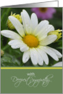 With Deepest Sympathy, White Daisy card