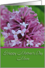 Happy Mother’s Day mom, Purple lilacs card