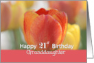 Granddaughter Happy 21st Birthday Orange and yellow tulips card