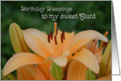 Birthday Blessings to my sweet Aunt, orange lily card