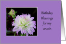 Birthday Blessings for my Cousin, Purple and white dahlia card
