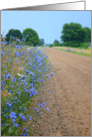 Cancer Recovery, dirt road with wild flowers card