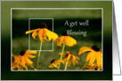 A get well Blessing, Black eyed susans with frame card