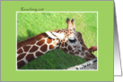 Reaching out, get well card with giraff card