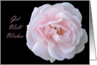 Get Well Wishes, Pink Rose with black background card