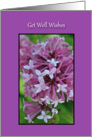 Get Well Wishes, purple flowers framed on a purple card