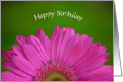 Happy Birthday, half pink gerber daisy with green background card