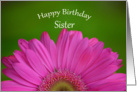 Happy Birthday Sister, half pink gerber daisy with green background card