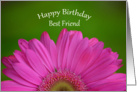 Happy Birthday Best Friend, half pink gerber daisy with green background card