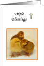 Triple Blessings, baby chicks card