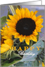 Happy Birthday, two sunflowers card