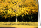 Thanksgiving Blessings, yellow fall tree card