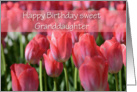 Tulip Granddaughter Birthday, photo of a field of tulips card